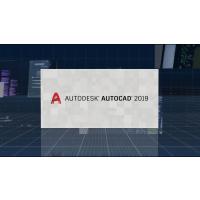 Alev 2019