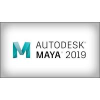 Maya 2019 1 KULLANICI 3 YIL