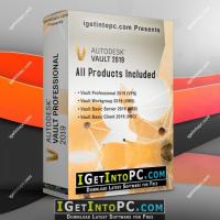 Vault Professional Client 2019