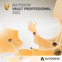 Vault Professional Client 2021