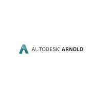 AUTODESK Arnold 2020 3 YIL 1 KULLANICI