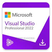 Visual Studio Professional 2022 Lisans Anahtarı